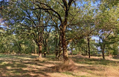 Grand gite & petit gite - Photo 7