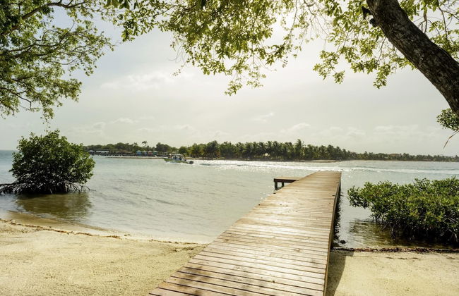 Entire Private Island For An Epic Group Vacation - Foto 72