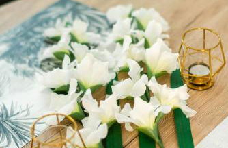 Domaine Paradis - Foto 54