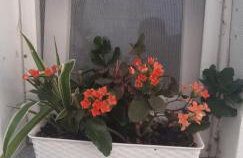 PLOMIN SKY&BAY - Foto 64