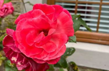 Country Cottage on Private Estate - Foto 6