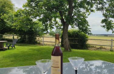 Domaine du Galon d'Or - Photo 57