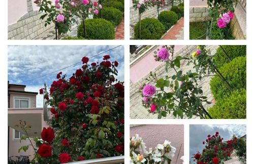 Villa Baldi -Apartmani Danny - Foto 62