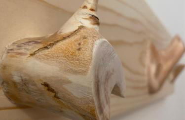 Bosc del Meneghì - Foto 32