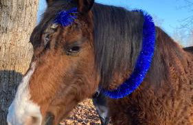 Agriturismo I Leprotti - Photo 50