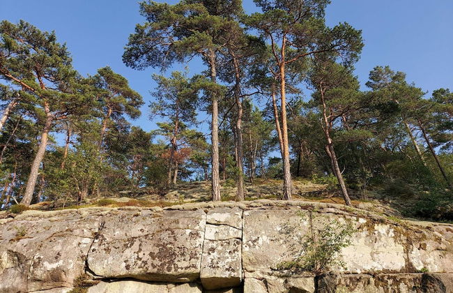 4 Star Holiday Home in Tanumshede-by Traum - Foto 9