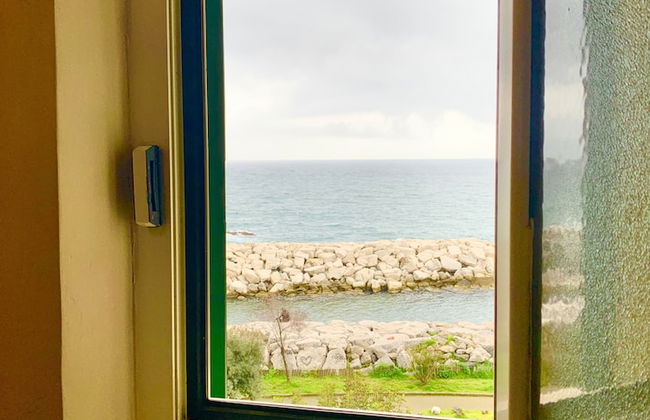 Artis Mare - Foto 10