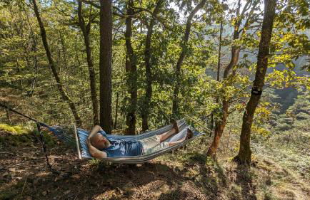 Ferienwohnung 'auf dem Burstel' - Foto 19