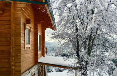 Vytina log house - Photo 22
