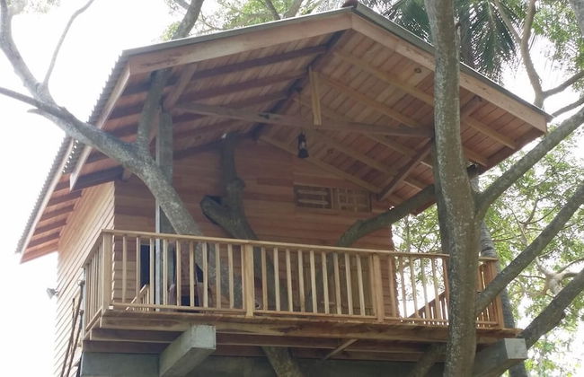 Wilpattu Tree House Hotel - Foto 52