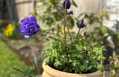 Charming rural cottage & private garden near South Downs - Great location for hiking - Photo 38