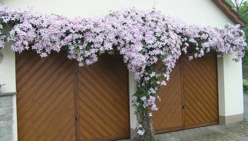 Ferienwohnung Am Alten Berg - Foto 2