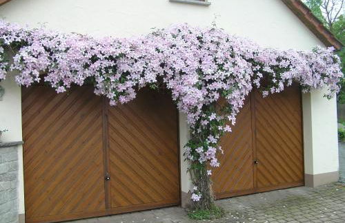 Ferienwohnung Am Alten Berg - Foto 2