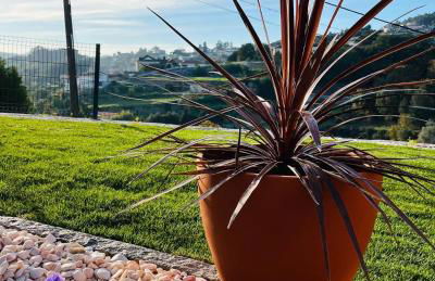 Emiliadourohouse - Foto 30