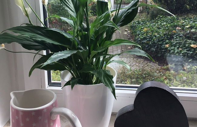 Fewo Jenaer Straße 11 - 2 Schlafzimmer - Foto 12