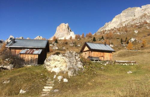 Cesa Fossal - Foto 42