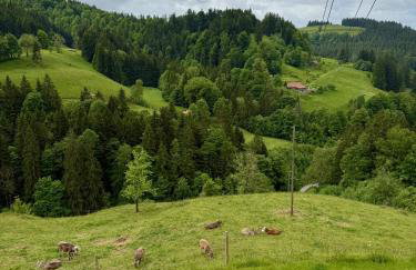 Alpe Sonnenruh - Foto 35