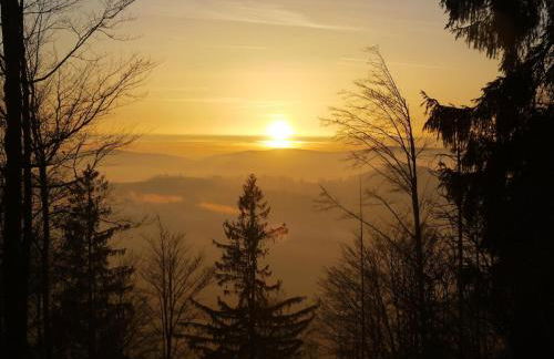 Blockhaus am Baumwipfelpfad - Foto 57