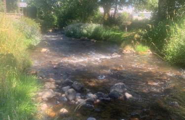 Gîte de la Couze pavin - Photo 30