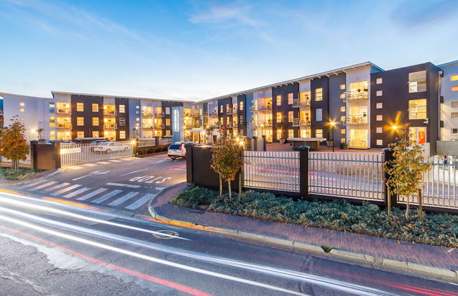 WINK Quiver Tree - Foto 1