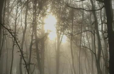 Ferienwohnung Moneblümchen - Foto 27