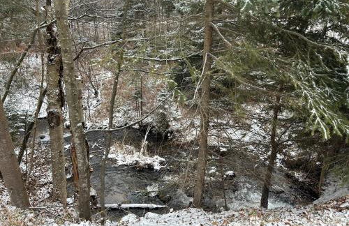 Wagner Creek Hideaway - Foto 17