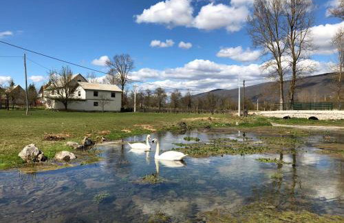 Apartman Danijela - Foto 29