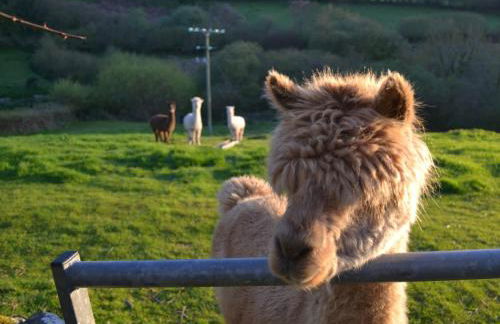 3 Bed in Parracombe BDOWN - Foto 27