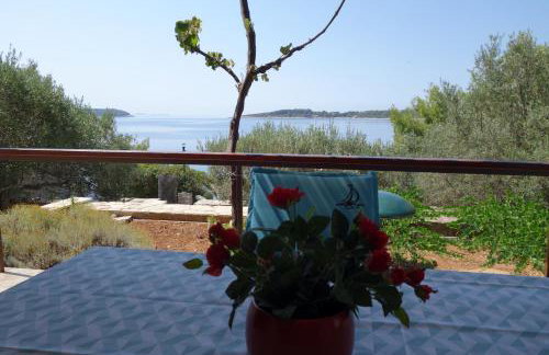 Apartmani Surjan - Foto 12