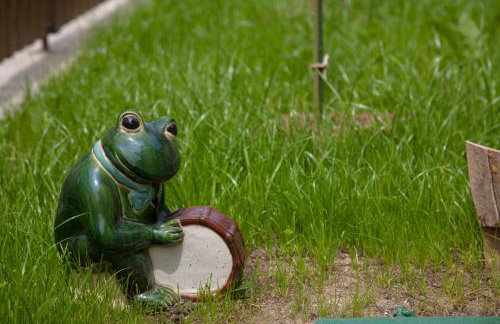 Vila Trnoružica - Foto 11