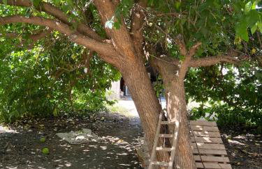 Casa cercana a la playa - Foto 3