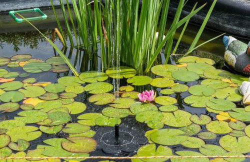 Ferienwohnung in Braunichswalde - Photo 53