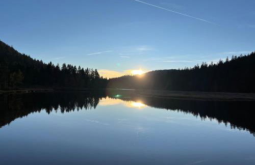 Les Brimbelles, détente & spa, au cœur des Vosges - Foto 16