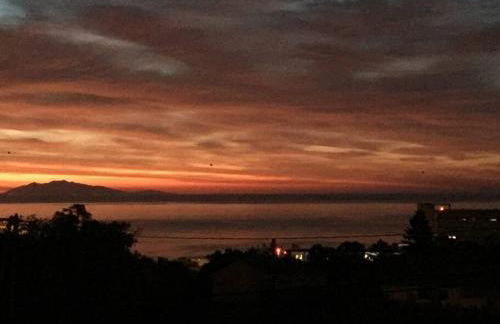 studio Alivu - Foto 22