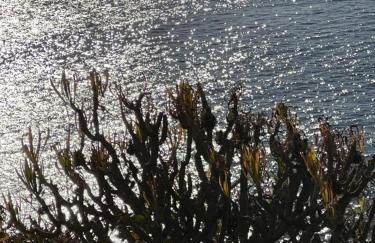 Villa con piscina climatizada y vistas al mar - Foto 77