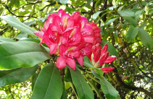 Haus Angermann - Foto 43