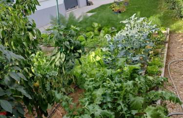 Alessietto - Foto 20