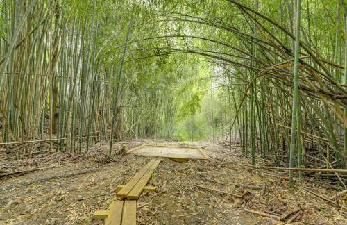 Hot Tub, Fire Pit Waynesville Getaway Near Hiking - Foto 33