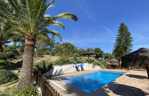 LAS PALMERAS - Foto 10