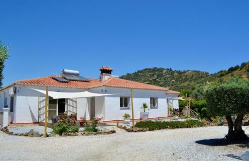 Sobremesa Boutique - Foto 2