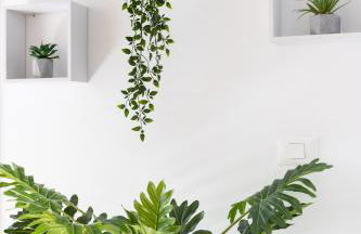 Casa Maruca with Roque Nublo view - Foto 24