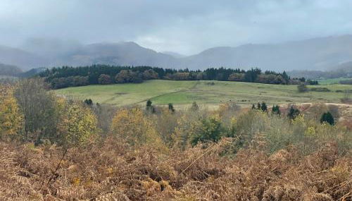 Garden Studio for Two - Photo 3