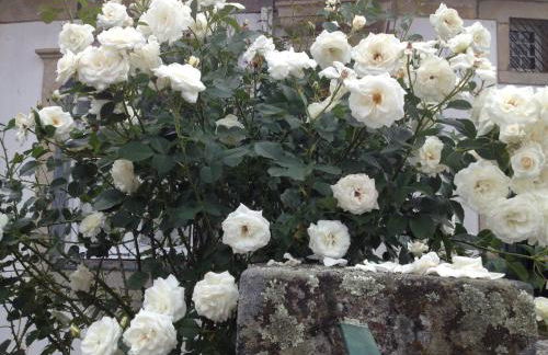 Solar da Roseira - Foto 4