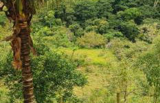 Sítio com piscina natural Cachoeiras de Macacu - Foto 46