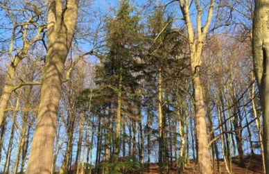 The Old Dairy - Foto 26