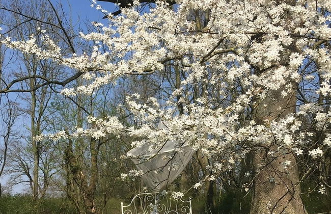 Wohnung in Neuburg Nahe Ostseestrand - Foto 14