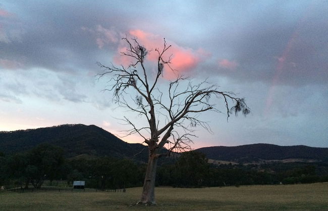 The Black Sparrow - Photo 65