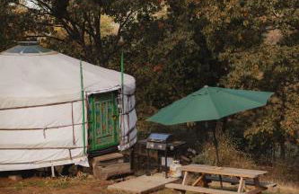 Cosy yurt at a nature retreat in Sequoia N Forest - Foto 2