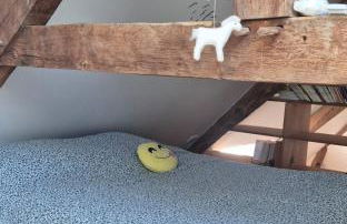 La rivière maison piscine emplacement idéal - Foto 19