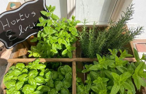 Pompei Duplex Apartment Deluxe - Photo 60